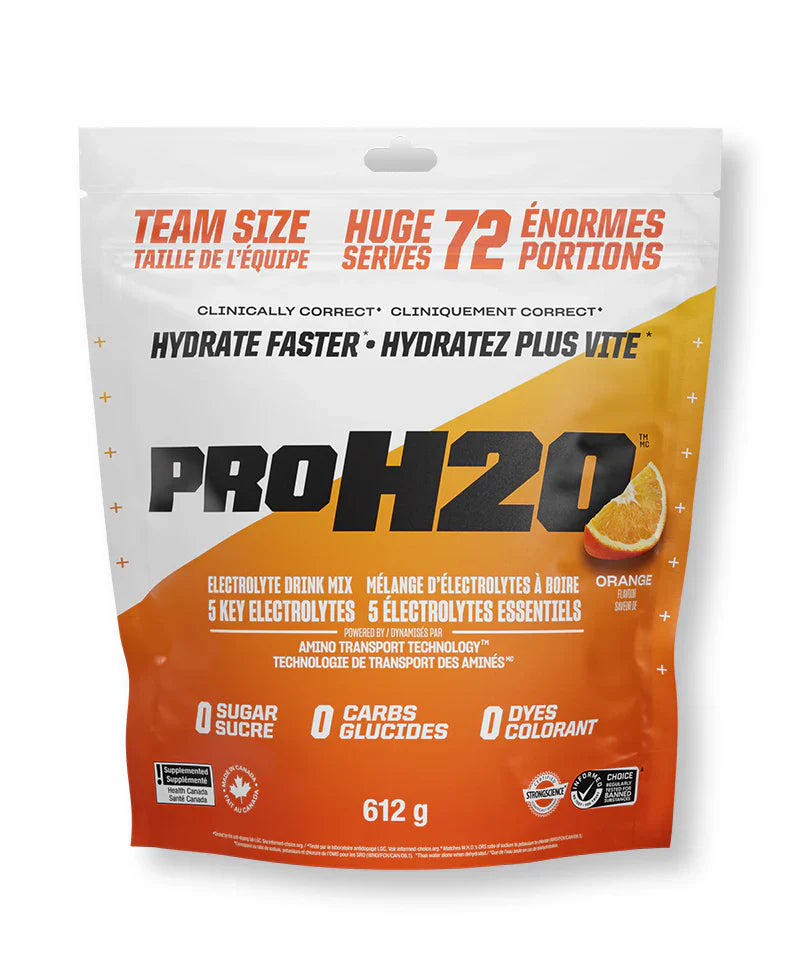 PVL PRO H20 72 servings